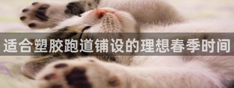 尊龙新版app：适合塑胶跑道铺设的理想春季时间