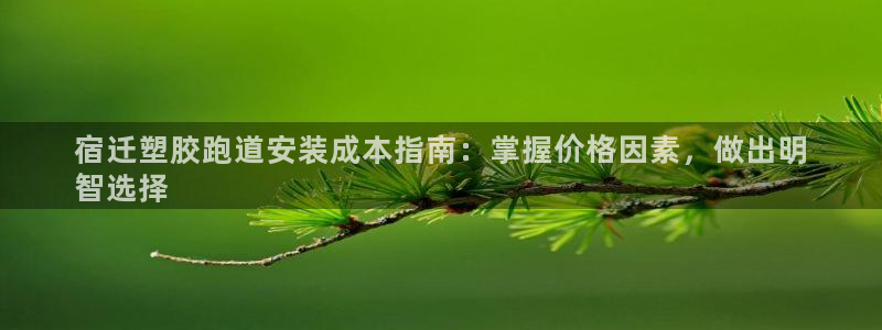 尊龙凯时d5138：宿迁塑胶跑道安装成本指南：掌握价格因素，做出明
智选择