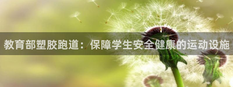 尊龙凯时平台有没有不到账的：教育部塑胶跑道：保障学生