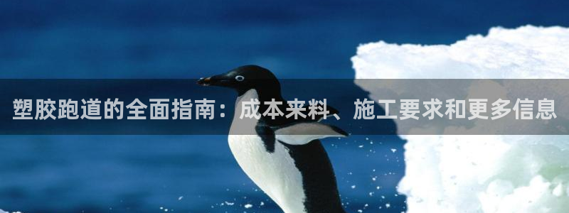 尊龙凯时z6官网：塑胶跑道的全面指南：成本来料、施工
