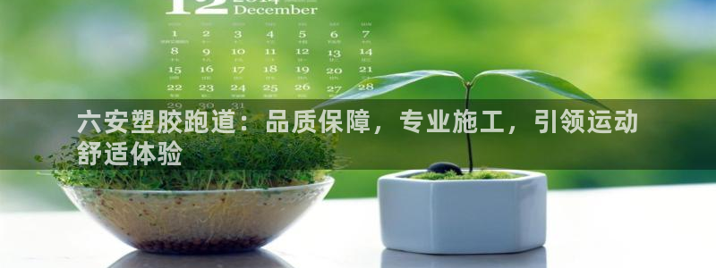 尊龙集团官网：六安塑胶跑道：品质保障，专业施工，引领运动
舒适体验