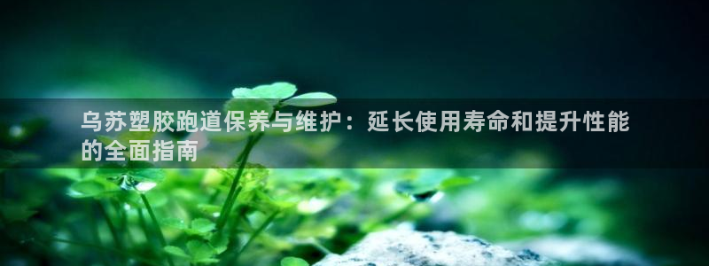 尊龙凯时台子：乌苏塑胶跑道保养与维护：延长使用寿命和