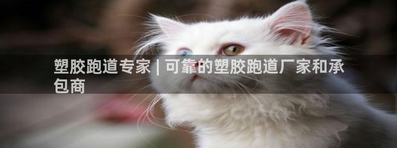 尊龙官方网站最新版V9.3.06：塑胶跑道专家 | 可靠的塑胶跑道厂家和承
包商