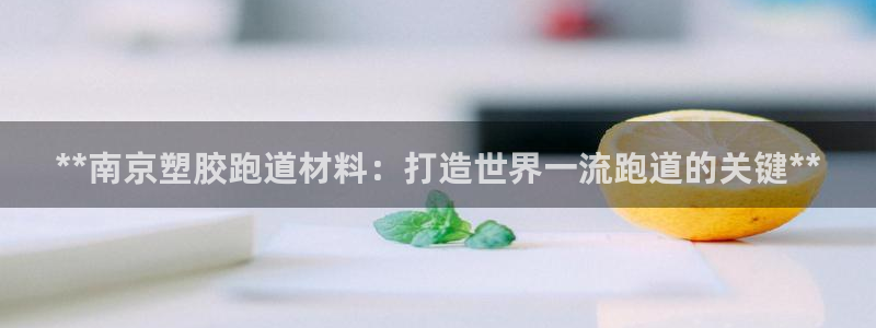 尊龙人生就是博电脑版：**南京塑胶跑道材料：打造世界一流跑道