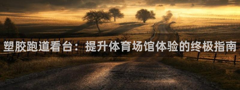 尊龙凯时几百万怎么下款：塑胶跑道看台：提升体育场馆体验的终极指南