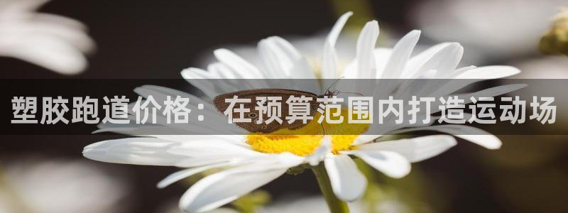 尊龙d88平台：塑胶跑道价格：在预算范围内打造运动场