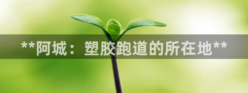 尊龙人生就是博网站：**阿城：塑胶跑道的所在地**