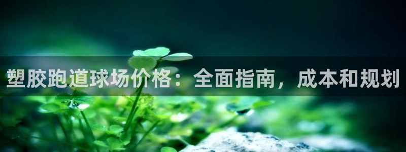 z6com尊龙凯时百家乐：塑胶跑道球场价格：全面指南