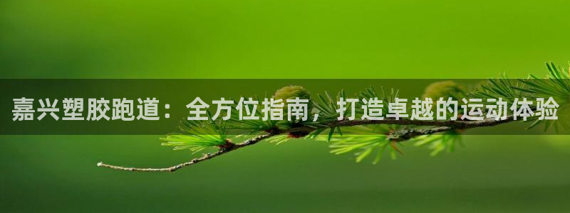 尊龙 ag：嘉兴塑胶跑道：全方位指南，打造卓越的运动体验