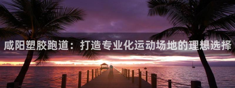 尊龙凯时能提现吗：咸阳塑胶跑道：打造专业化运动场地的