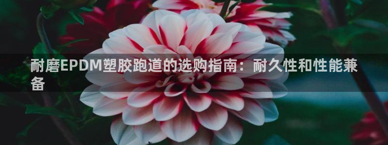 尊龙人生就要博旧版：耐磨EPDM塑胶跑道的选购指南：