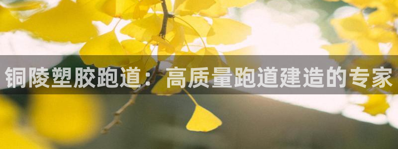 最新凯时官网网址：铜陵塑胶跑道：高质量跑道建造的专家