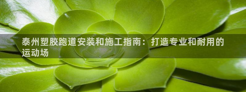 尊龙凯时代理佣金发不发：泰州塑胶跑道安装和施工指南：