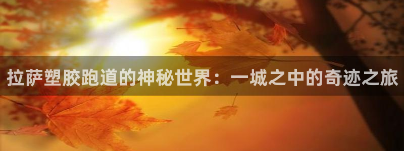 尊龙凯时总部在哪里
