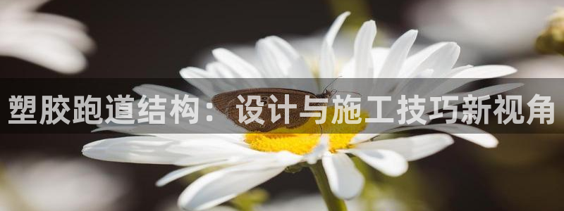 凯时网上官方网站
