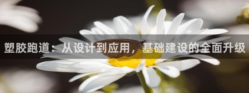 尊龙官网免费下载