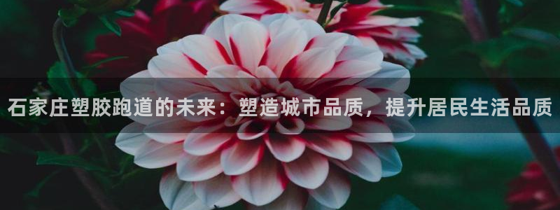 尊龙d88官网确来就送38