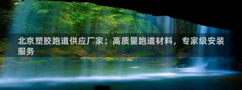 尊龙信息科技有限公司：北京塑胶跑道供应厂家：高质量跑道材料，专家级安装
服务