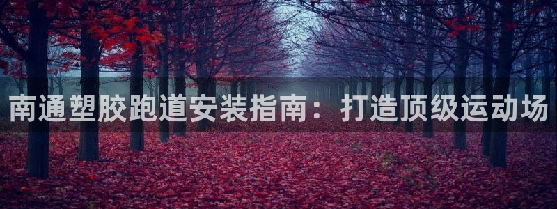 尊龙凯时 人生就是搏!：南通塑胶跑道安装指南：打造顶级运动场