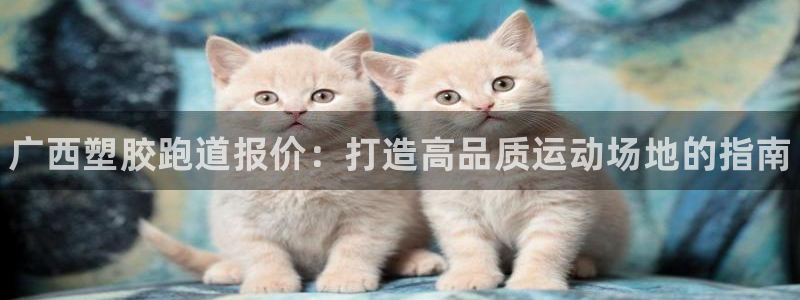 尊龙凯时网站赌愽做假吗：广西塑胶跑道报价：打造高品质运动场地的指南