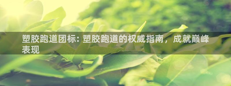 尊龙z6网址：塑胶跑道团标: 塑胶跑道的权威指南，成