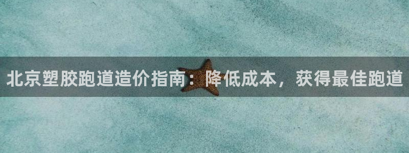 尊龙科技：北京塑胶跑道造价指南：降低成本，获得最佳跑道