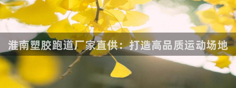 尊龙人生就是博ag旗舰厅：淮南塑胶跑道厂家直供：打造高品质运