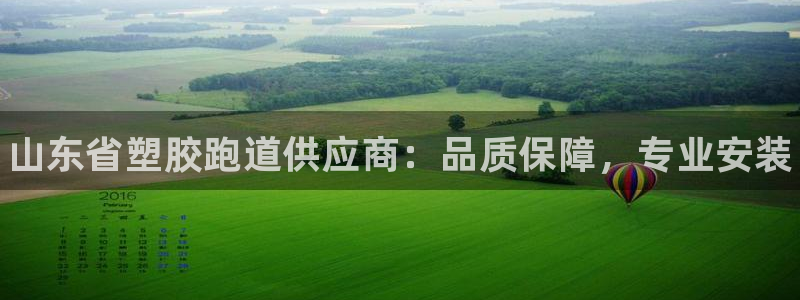 尊龙AG旗舰店：山东省塑胶跑道供应商：品质保障，专业安装