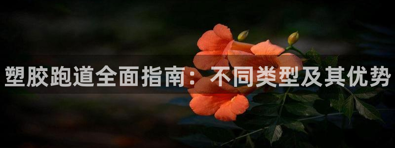 尊龙手机官方客户端下载：塑胶跑道全面指南：不同类型及