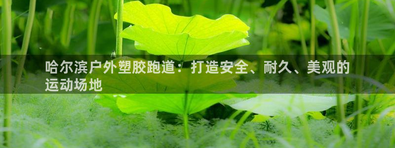 尊龙凯时登入首页：哈尔滨户外塑胶跑道：打造安全、耐久、美观的
运动场地