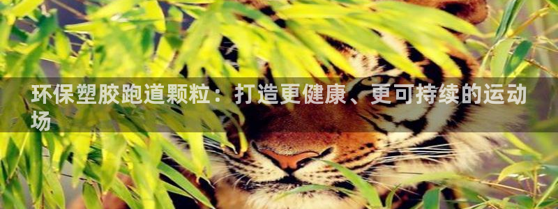 尊龙人生就是博送38：环保塑胶跑道颗粒：打造更健康、