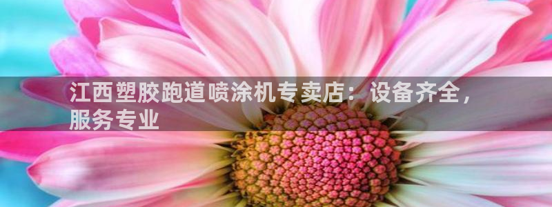 尊龙凯时发展历程：江西塑胶跑道喷涂机专卖店：设备齐全