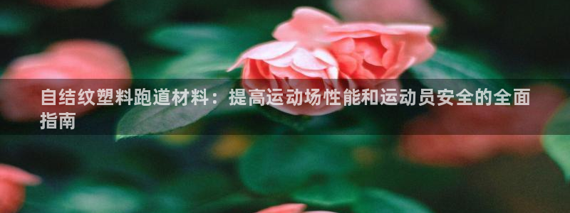 尊龙人生就是博d88 - Z6尊龙官方网站：自结纹塑料跑道材