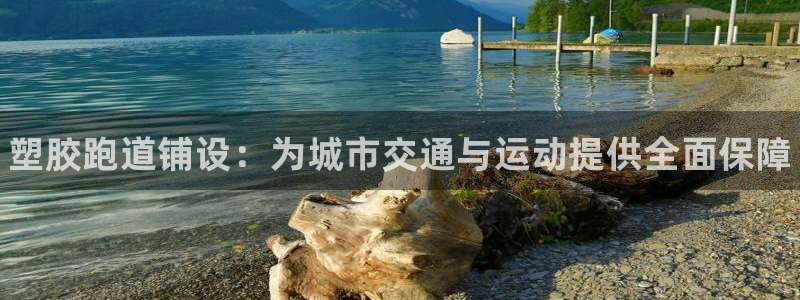 国际凯时ag优质运营商：塑胶跑道铺设：为城市交通与运