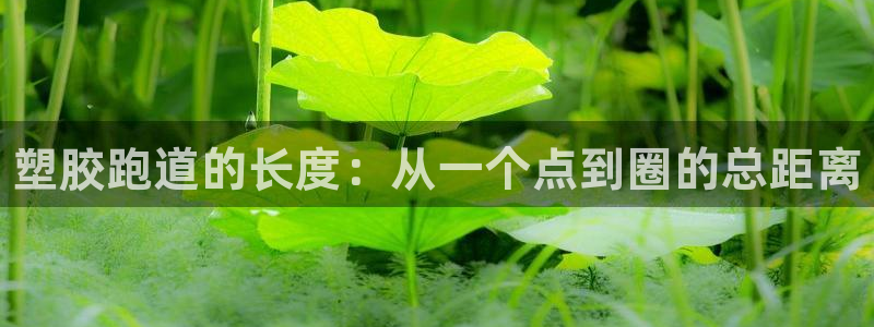 KB88凯时官网：塑胶跑道的长度：从一个点到圈的总距