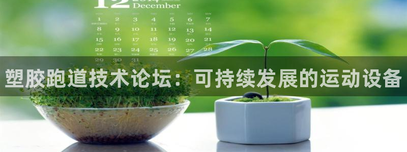 尊龙官方：塑胶跑道技术论坛：可持续发展的运动设备