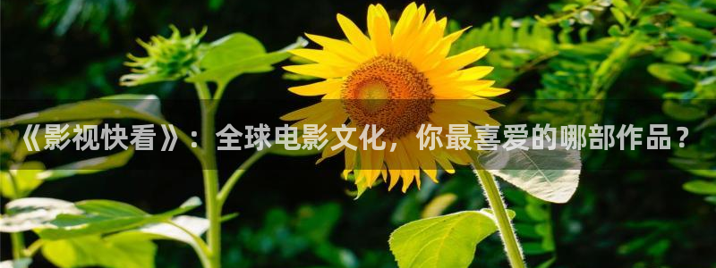依依影片：《影视快看》：全球电影文化，你最喜爱的哪部作品？