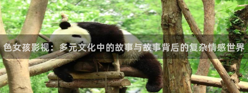 依依成人影院在线观看：色女孩影视：多元文化中的故事与故事背后的复杂情感世界