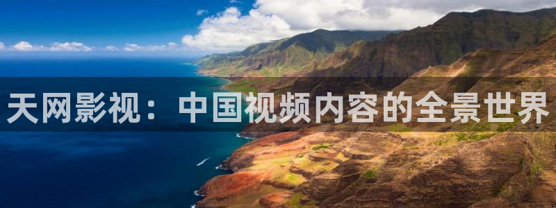 依依在线视频：天网影视：中国视频内容的全景世界