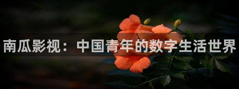 依依在线视频：南瓜影视：中国青年的数字生活世界