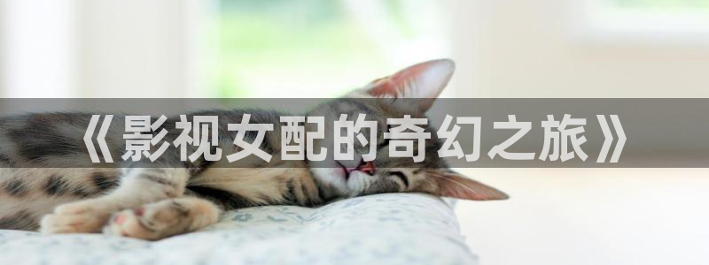 午夜依依成人影院：《影视女配的奇幻之旅》