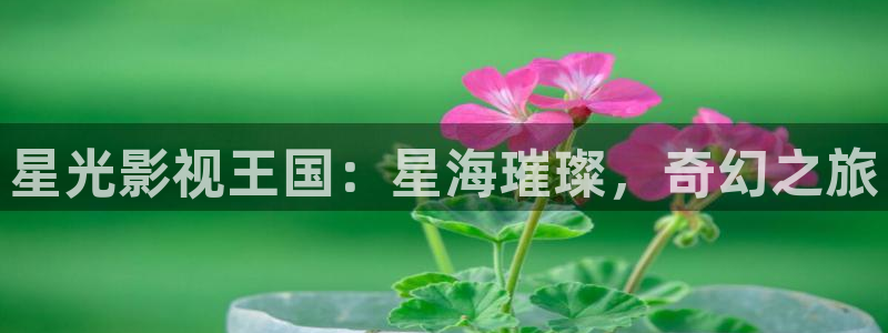 成人依依影院：星光影视王国：星海璀璨，奇幻之旅